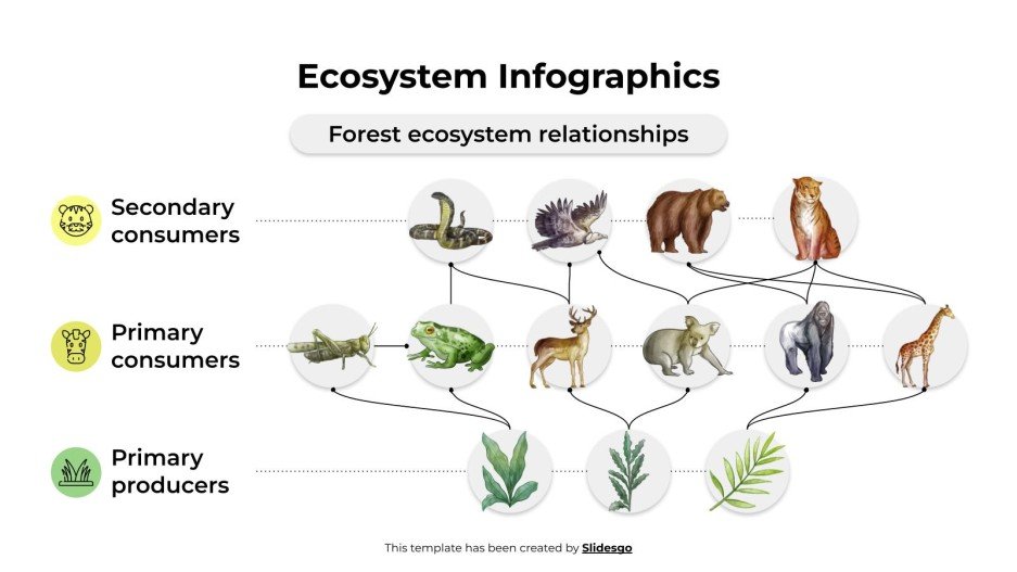Ecosystem Infographics Template