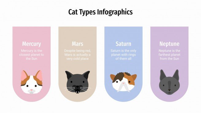 Plantilla de presentación Infografías de tipos de gatos