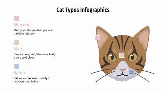 Cat Types Infographics presentation template 