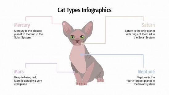 Infografik Katzenarten Präsentationsvorlage