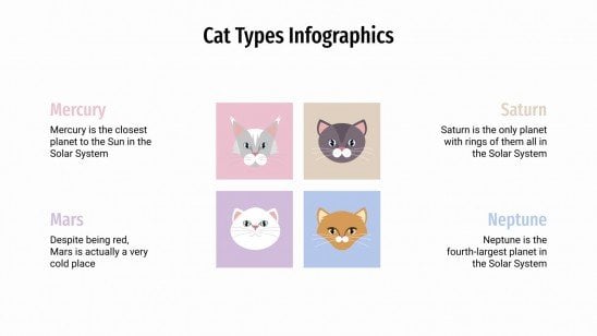 Infographies sur les types de chats Modèles de présentation