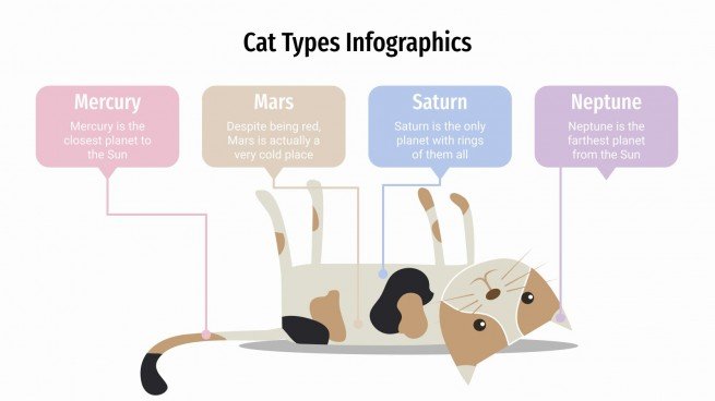 Modelo de apresentação Infográficos de tipos de gatos