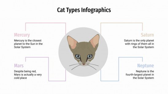 Cat Types Infographics presentation template 