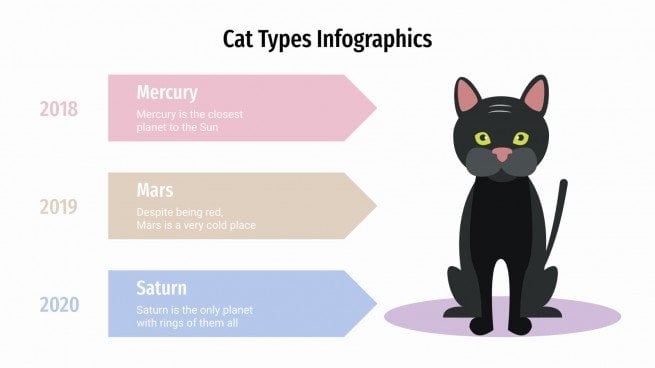 Modelo de apresentação Infográficos de tipos de gatos