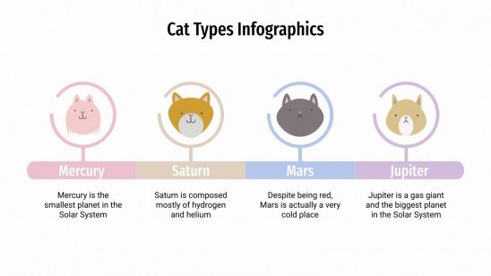 Infographies sur les types de chats Modèles de présentation