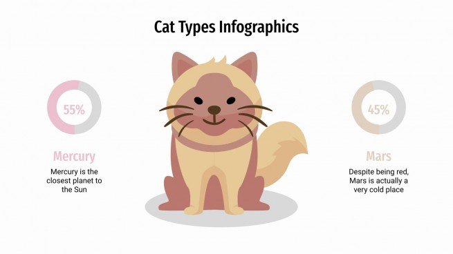 Cat Types Infographics presentation template 