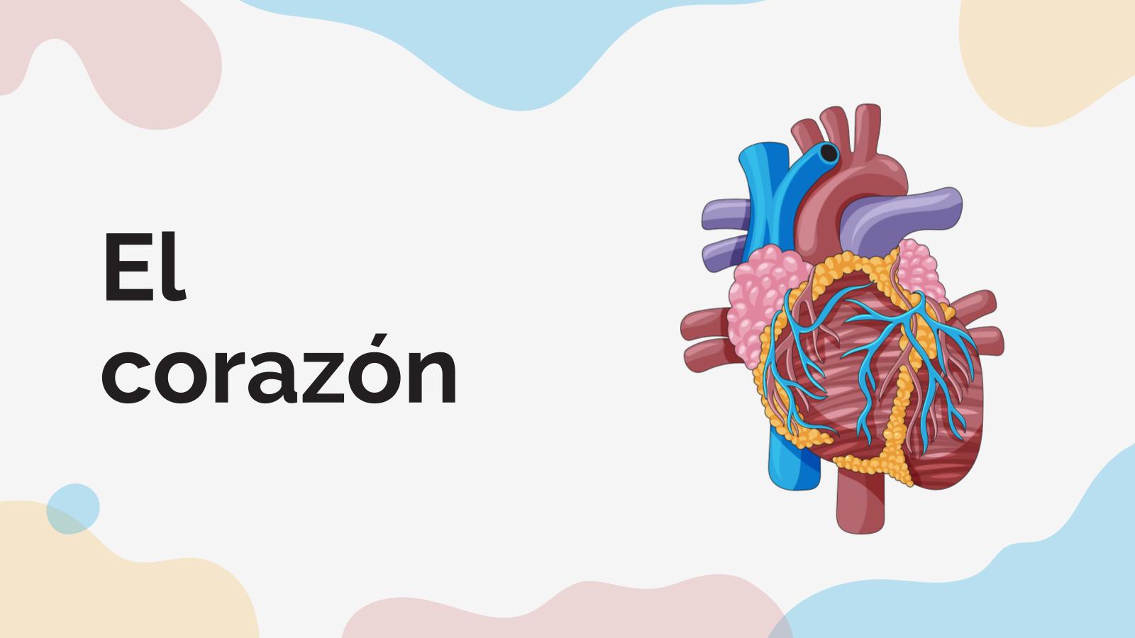 심장 프레젠테이션 템플릿