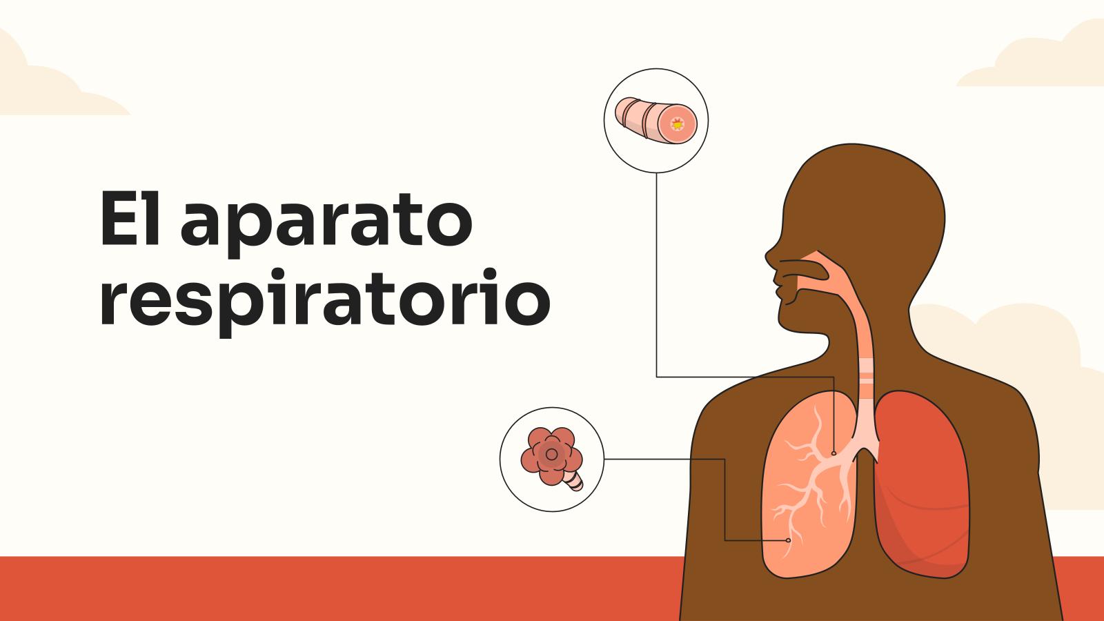 The Respiratory System presentation template 