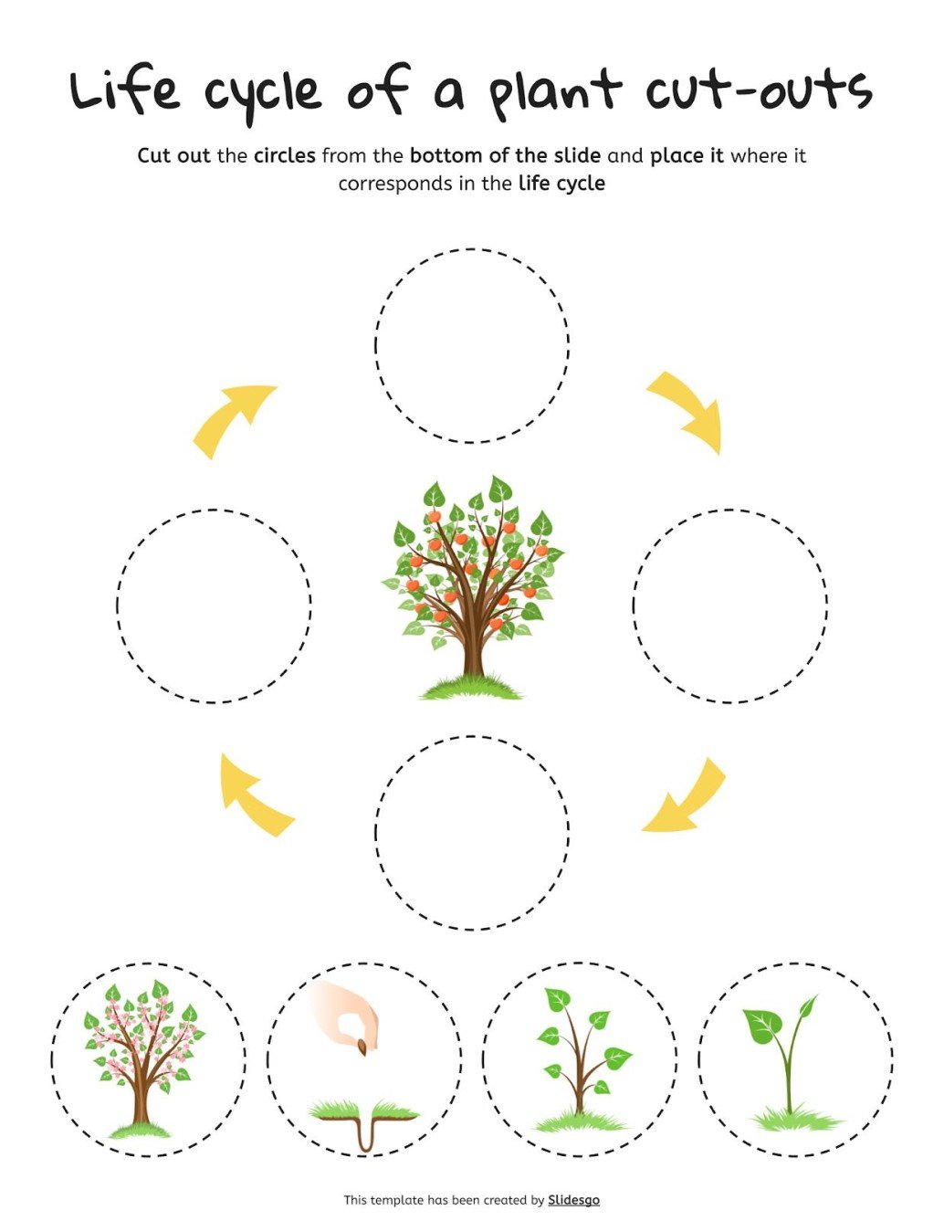 Life Cycle of a Plant Cut-outs Template