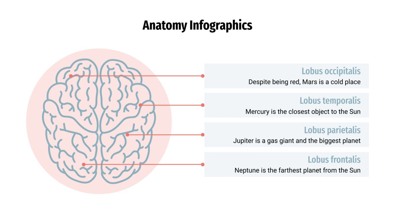 Anatomy Infographics for Google Slides and PowerPoint