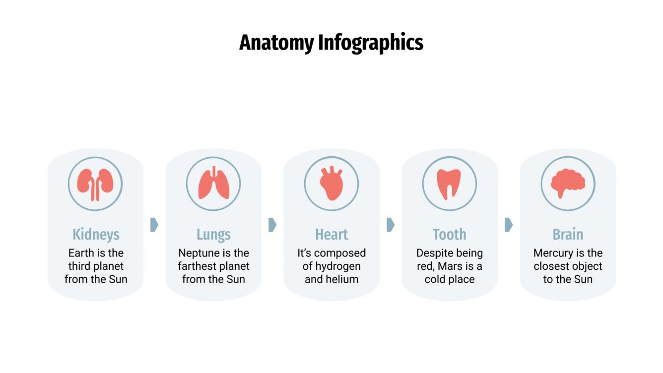 Anatomy Infographics for Google Slides and PowerPoint