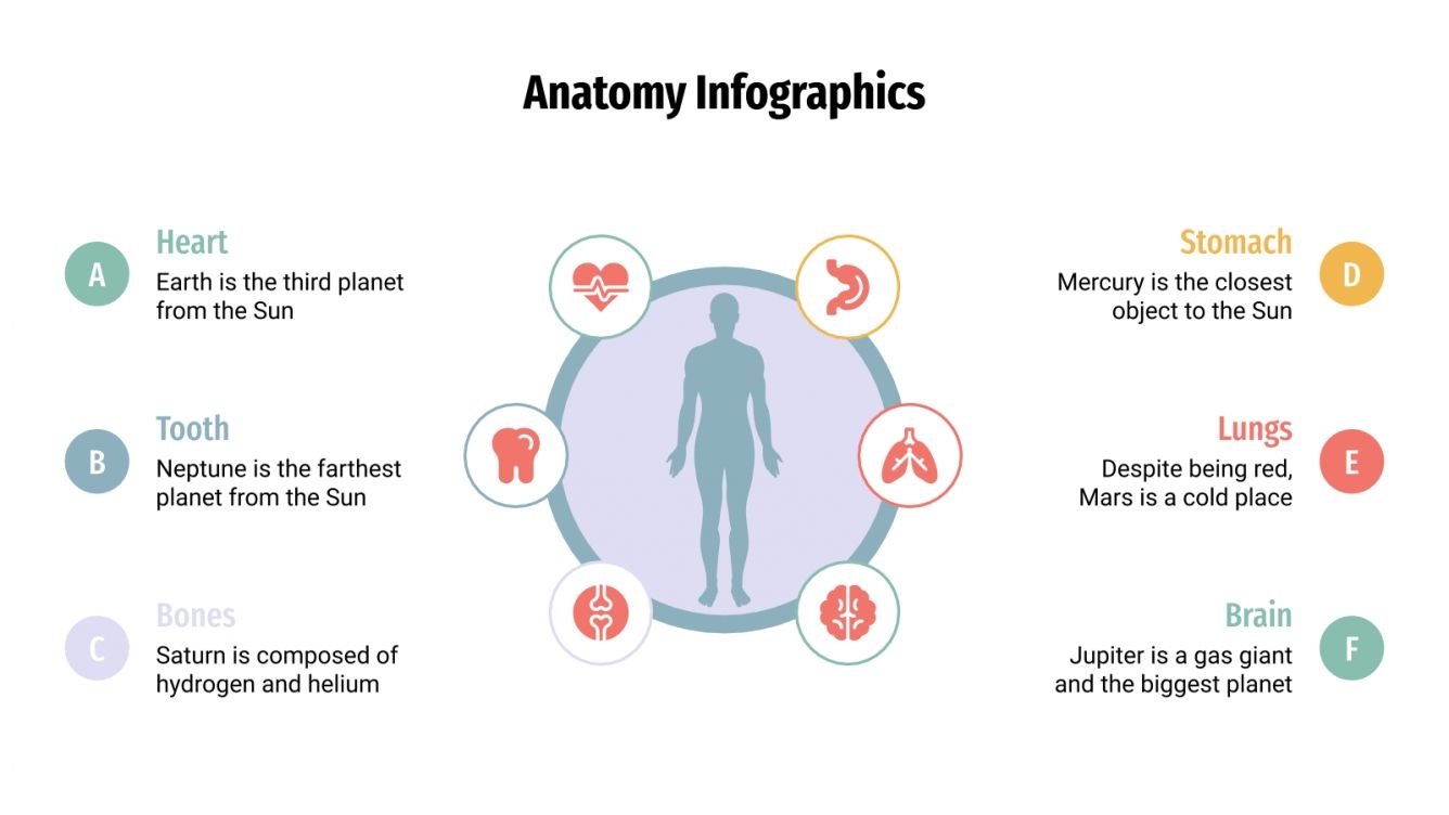 Anatomy Infographics for Google Slides and PowerPoint