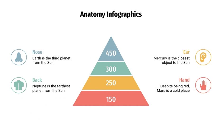 Anatomy Infographics for Google Slides and PowerPoint