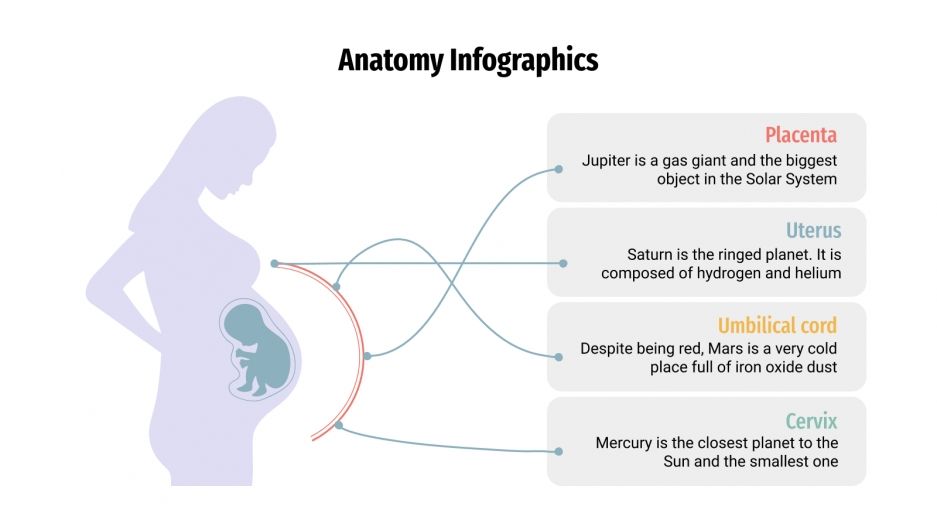 Anatomy Infographics for Google Slides and PowerPoint