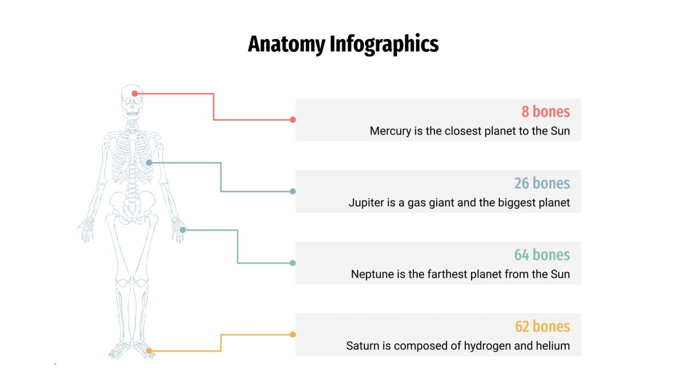 Anatomy Infographics for Google Slides and PowerPoint