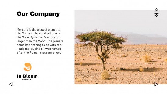 Allgemeines Pitch Deck Google Slides & PPT Vorlage