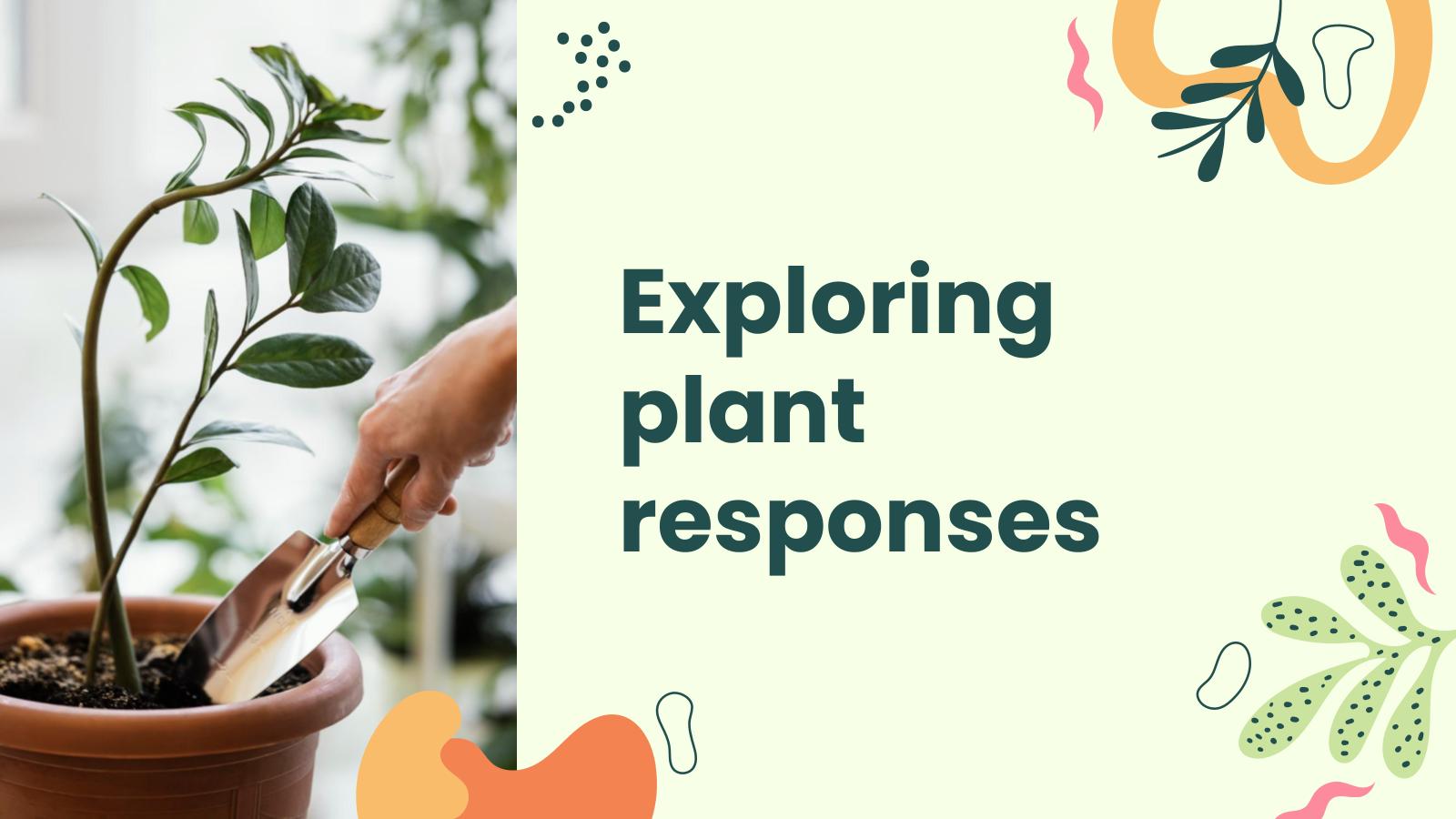 Exploring Plant Responses presentation template 