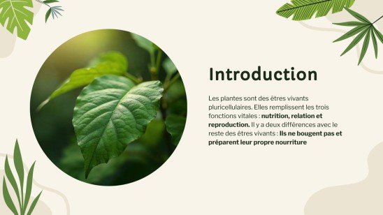 Vie végétale : nutrition, photosynthèse et respiration Modèles de présentation