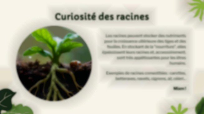 Vie végétale : nutrition, photosynthèse et respiration Modèles de présentation