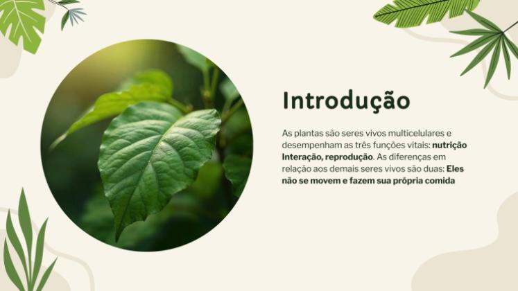 Modelo de apresentação Vida vegetal: nutrição, fotossíntese e respiração
