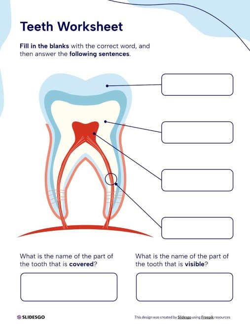 teeth-worksheet-template