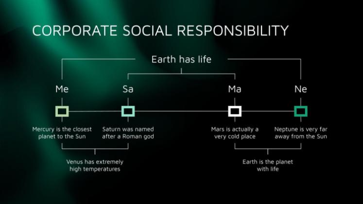 Company Best Practices presentation template 