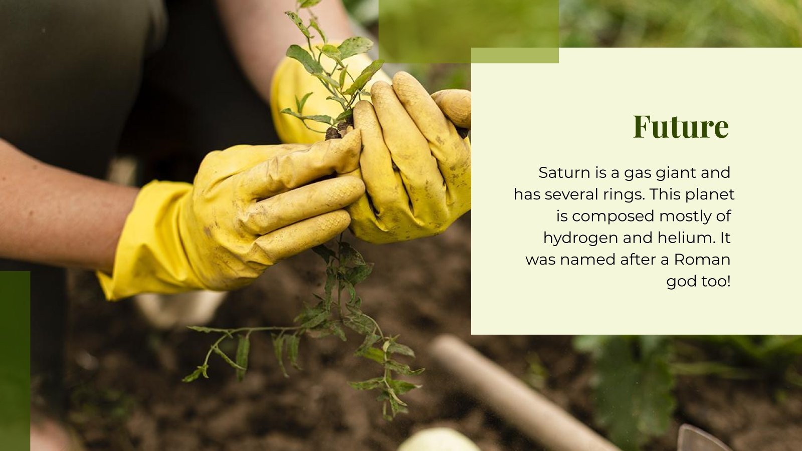 Sustainable Agriculture Google Slides & PowerPoint template