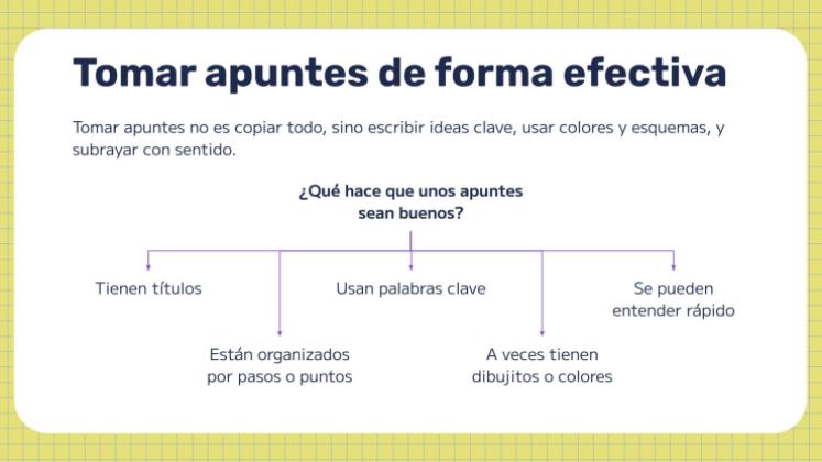 The Secret of Successful Students presentation template 