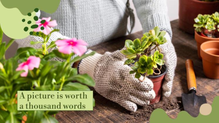 허브 가게 사업 계획서 프레젠테이션 템플릿