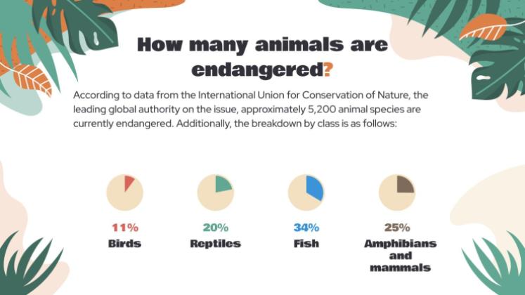 Attention, animaux en voie de disparition ! Modèles de présentation