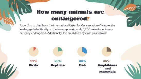 Attention, animaux en voie de disparition ! Modèles de présentation