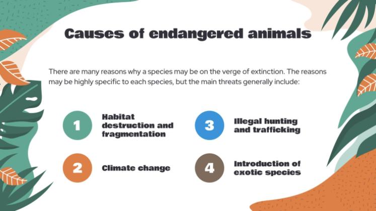 Attention, animaux en voie de disparition ! Modèles de présentation