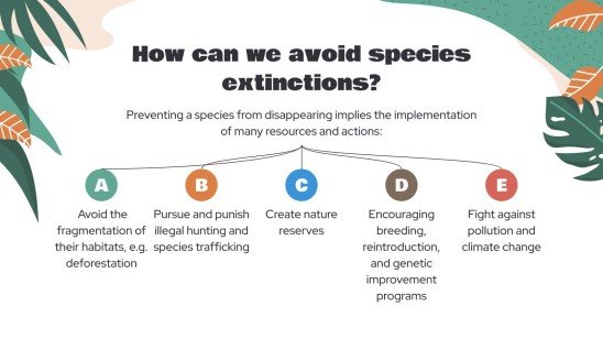 Attention, animaux en voie de disparition ! Modèles de présentation