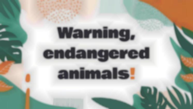 Attention, animaux en voie de disparition ! Modèles de présentation