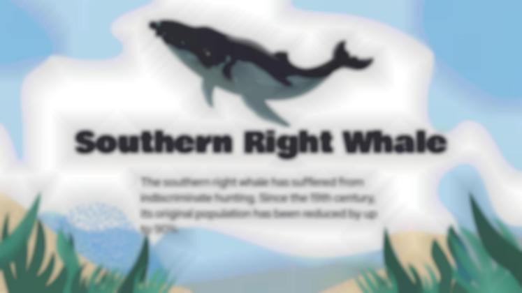 Attention, animaux en voie de disparition ! Modèles de présentation