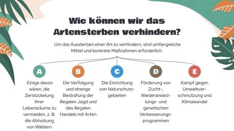 Achtung, gefährdete Tiere! Präsentationsvorlage