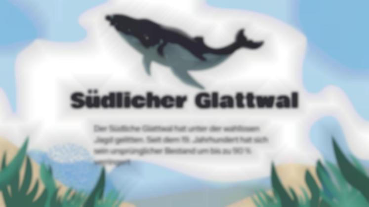 Achtung, gefährdete Tiere! Präsentationsvorlage