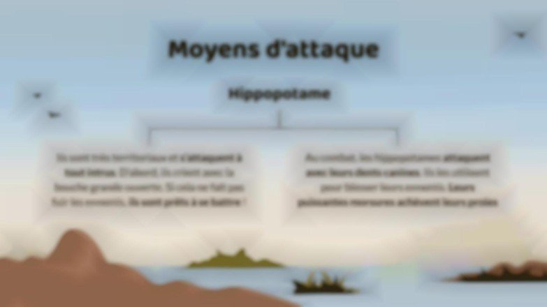 Comparaisons d’animaux : crocodile du Nil vs. hippopotame Modèles de présentation