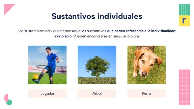Noms individuels et collectifs Modèles de présentation
