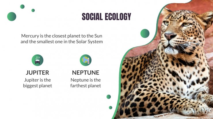 World Nature Conservation Day presentation template 