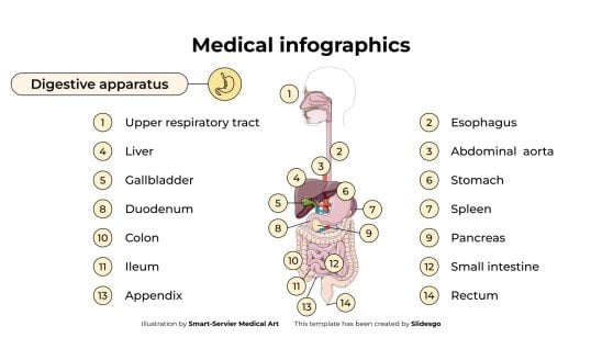 Medical Infographics presentation template 