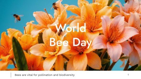 World Bee Day presentation template 