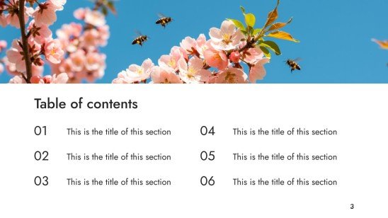 World Bee Day presentation template 
