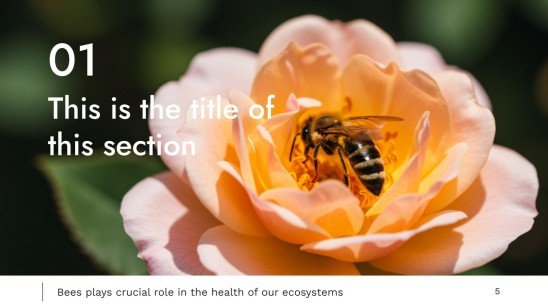 World Bee Day presentation template 