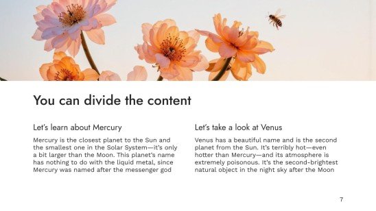 World Bee Day presentation template 