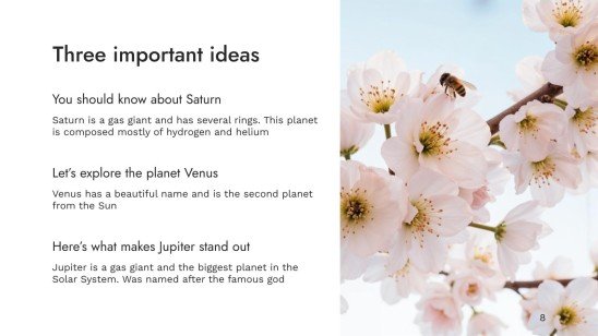 World Bee Day presentation template 