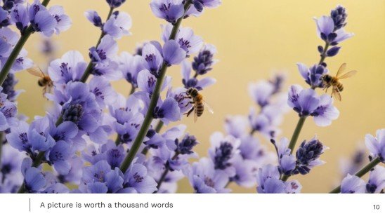World Bee Day presentation template 