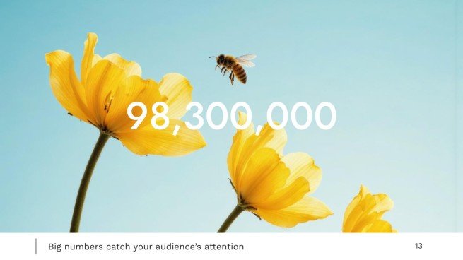 World Bee Day presentation template 