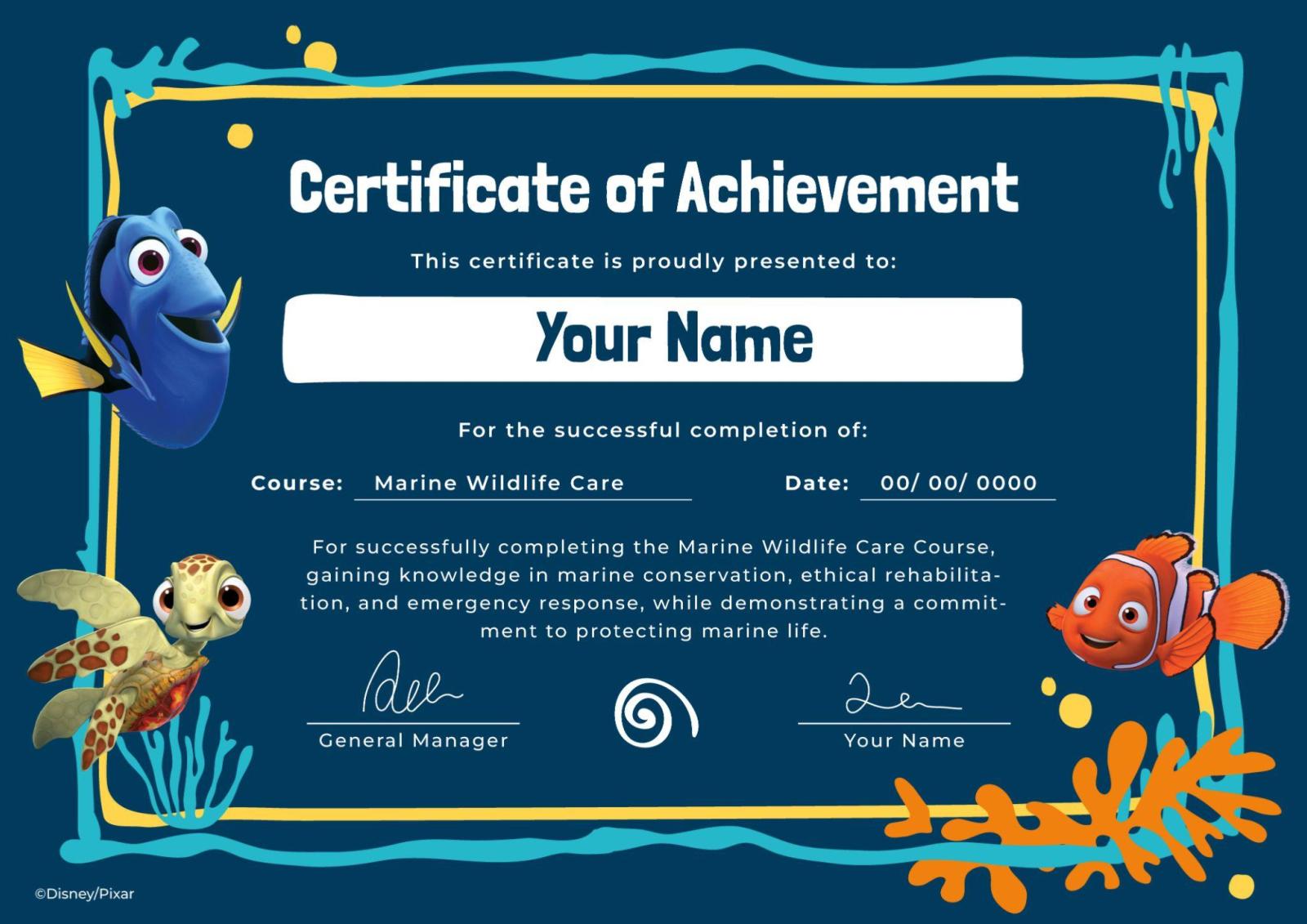 0-finding-nemo-certificate.jpg