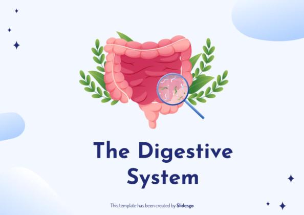 The Digestive System presentation template 